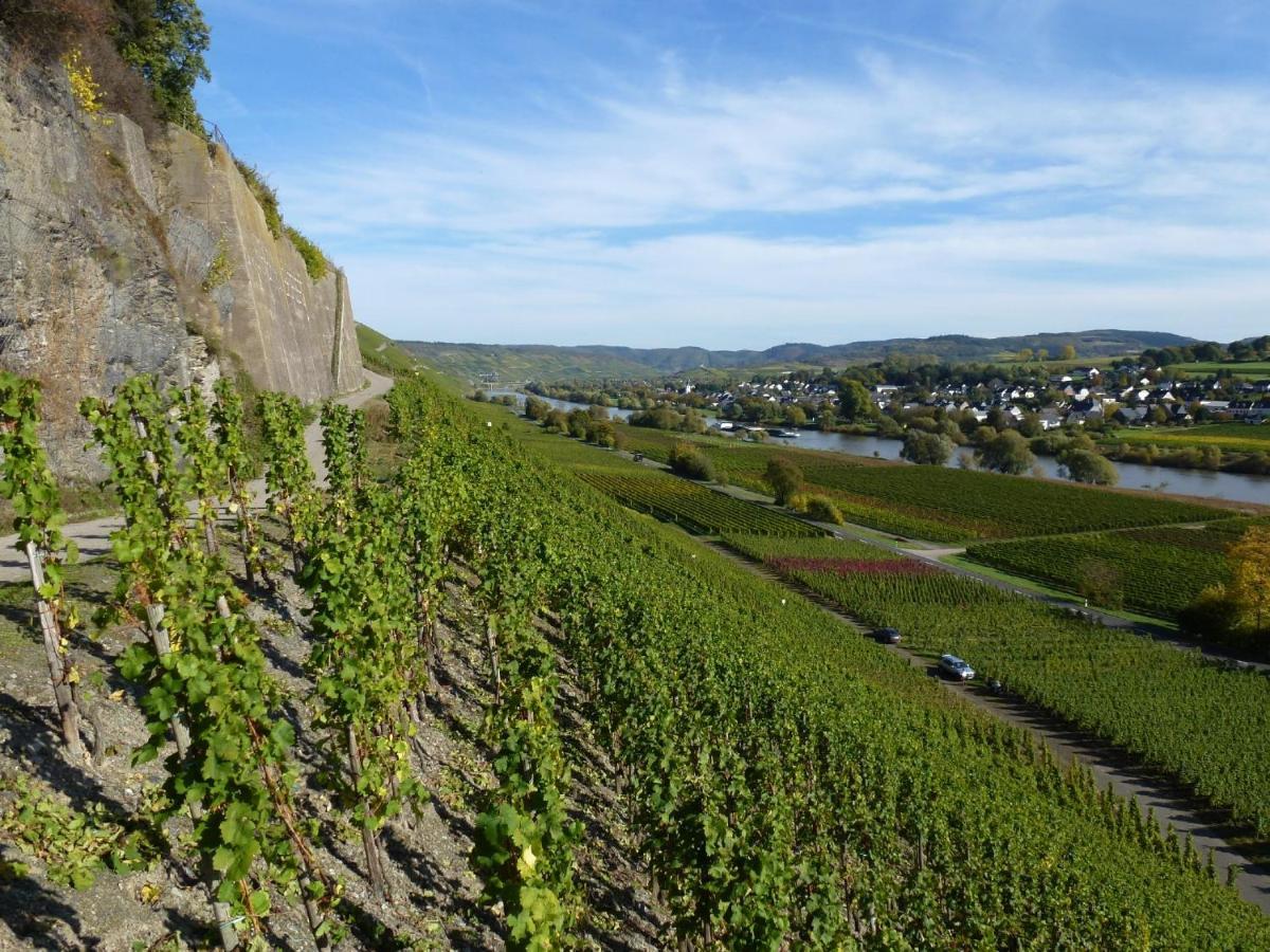 Osann-MonzelWeingut Harald Ludwigアパートメント エクステリア 写真